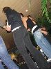 dsc05076.jpg